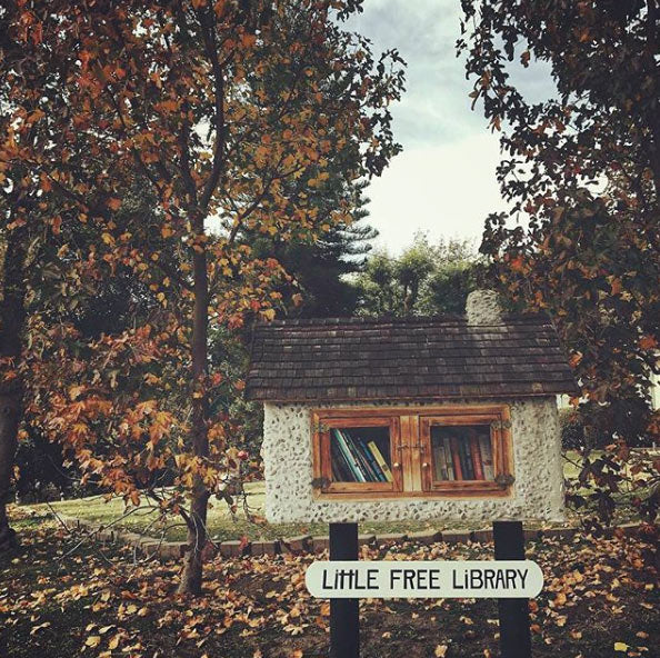 BEING NEIGHBORLY: BOOK IT TO A LITTLE FREE LIBRARY