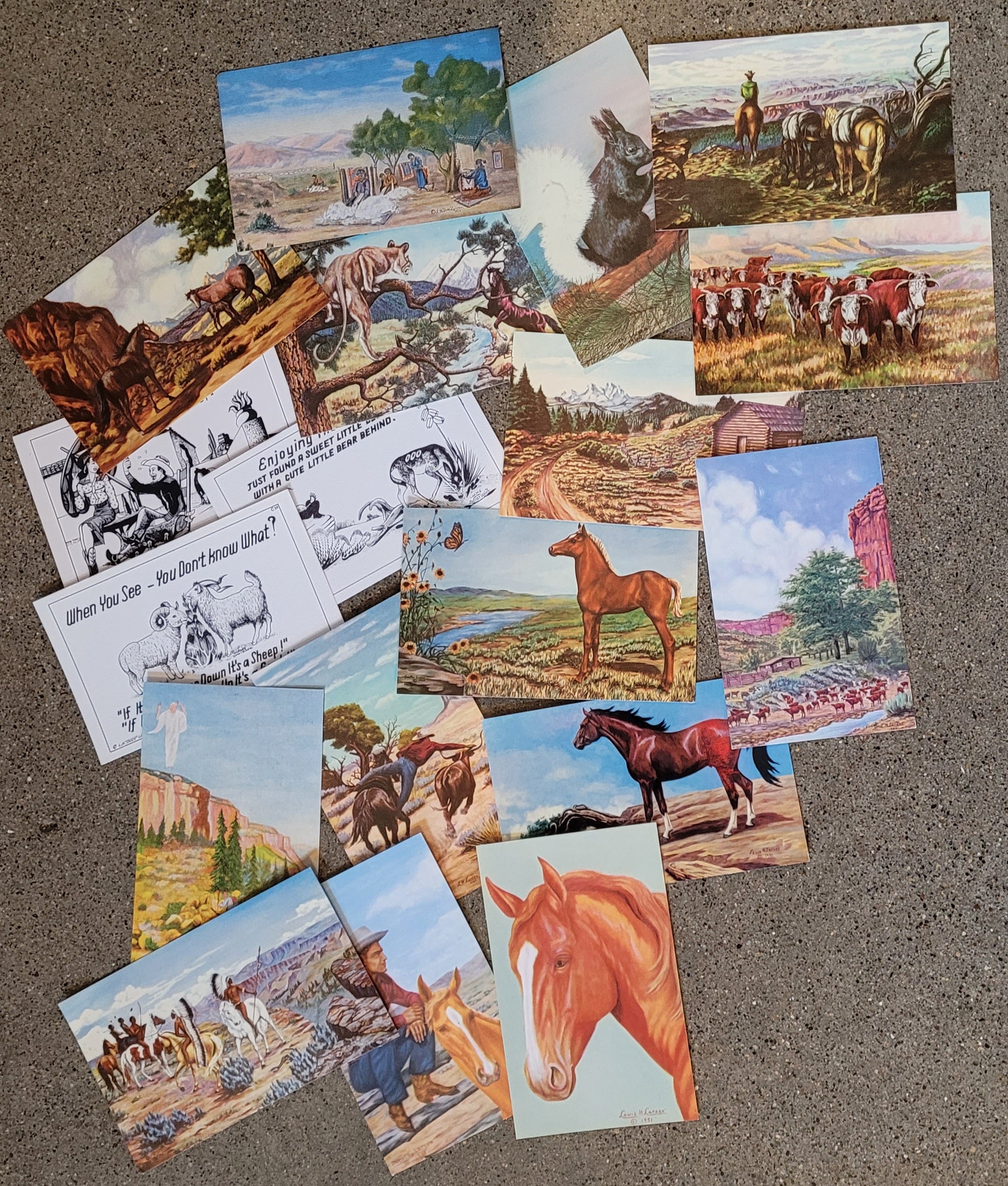 Larsen Postcards Collection | Antique Archaeology