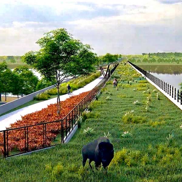 THE BISON BRIDGE: THE WORLD’S LONGEST MAN-MADE WILDLIFE CROSSING