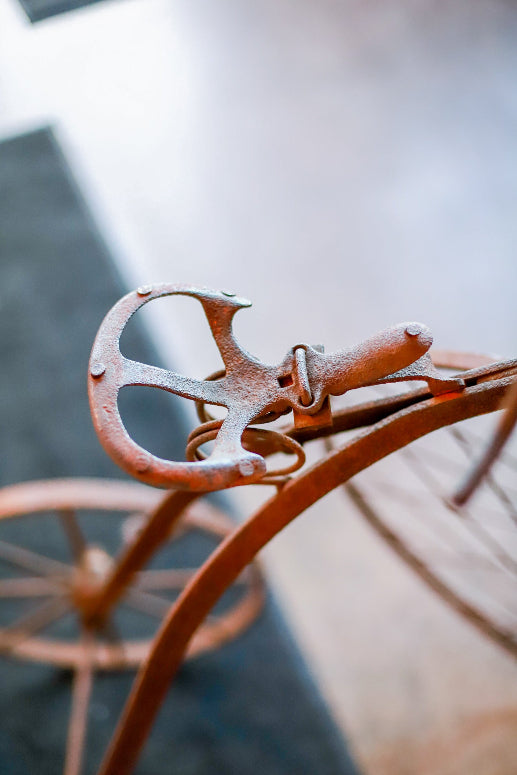 Penny-Farthing Tricycle