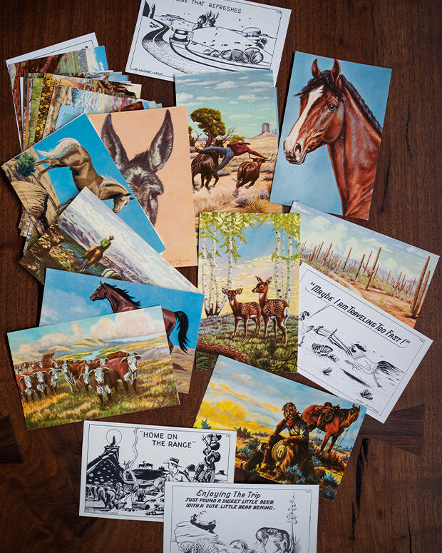 LARSEN POSTCARDS COLLECTION