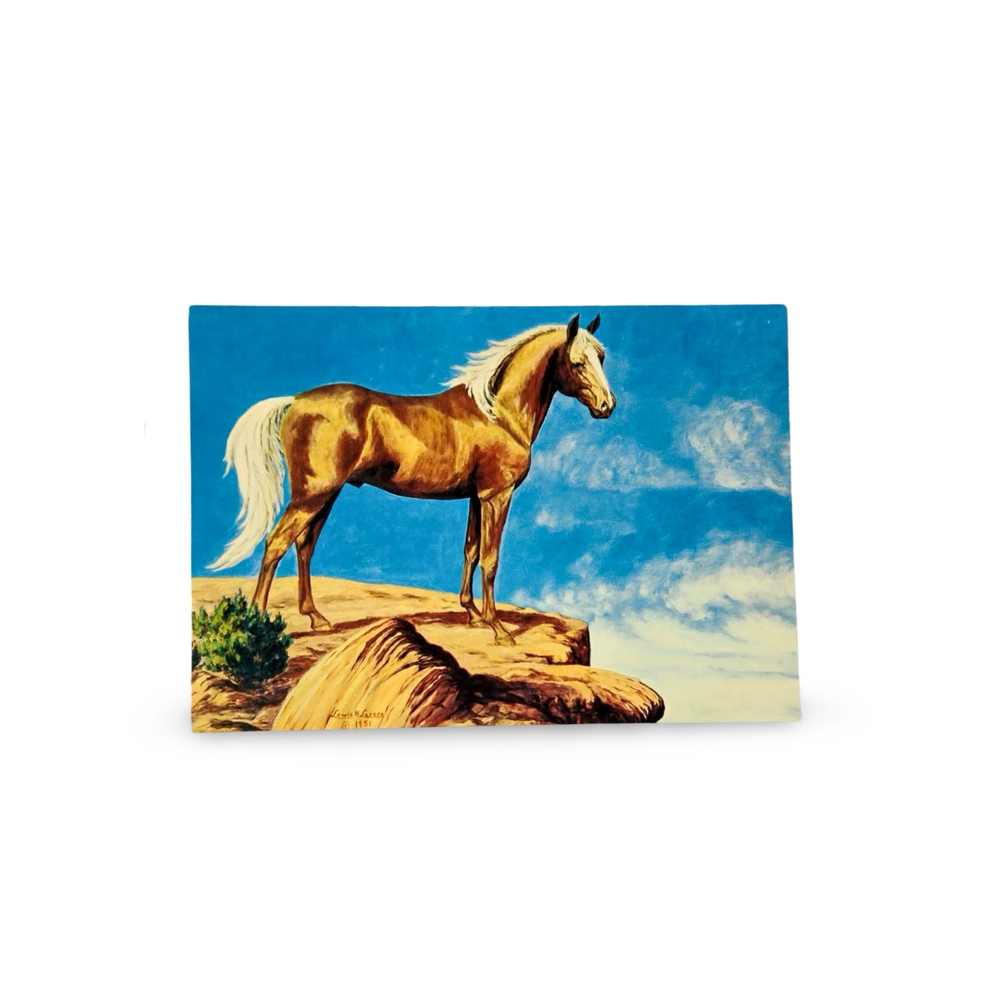 Larsen Postcards - Large Card Bundle