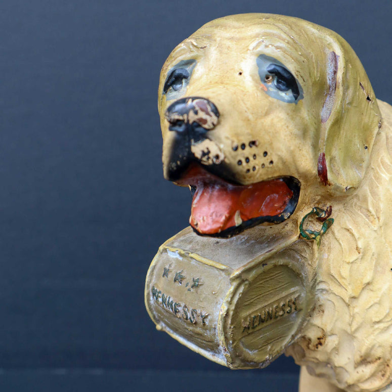 Hennessy Dog