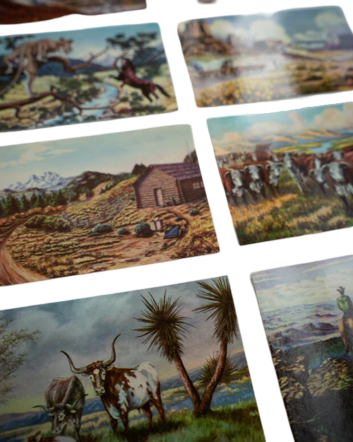 Larsen Postcards - Landscape Bundle