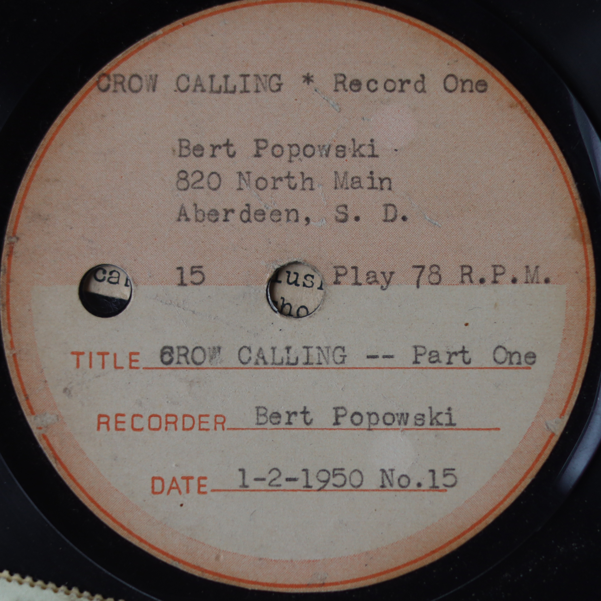 Crow Shooting Shadow Box