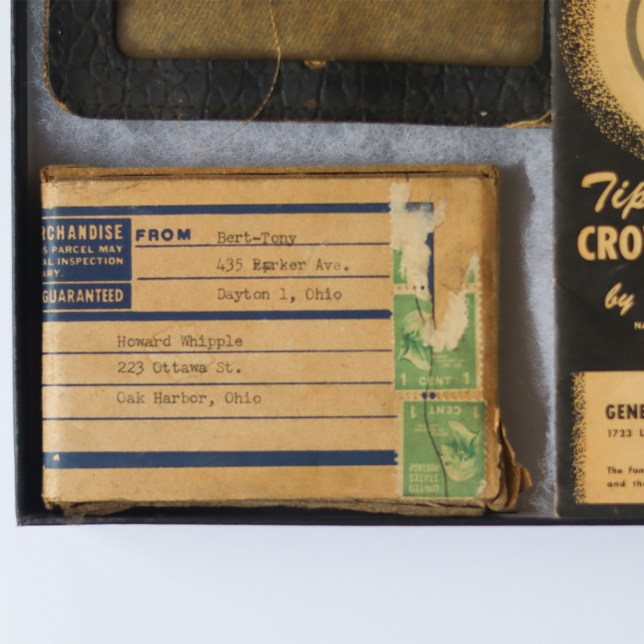 Crow Shooting Shadow Box