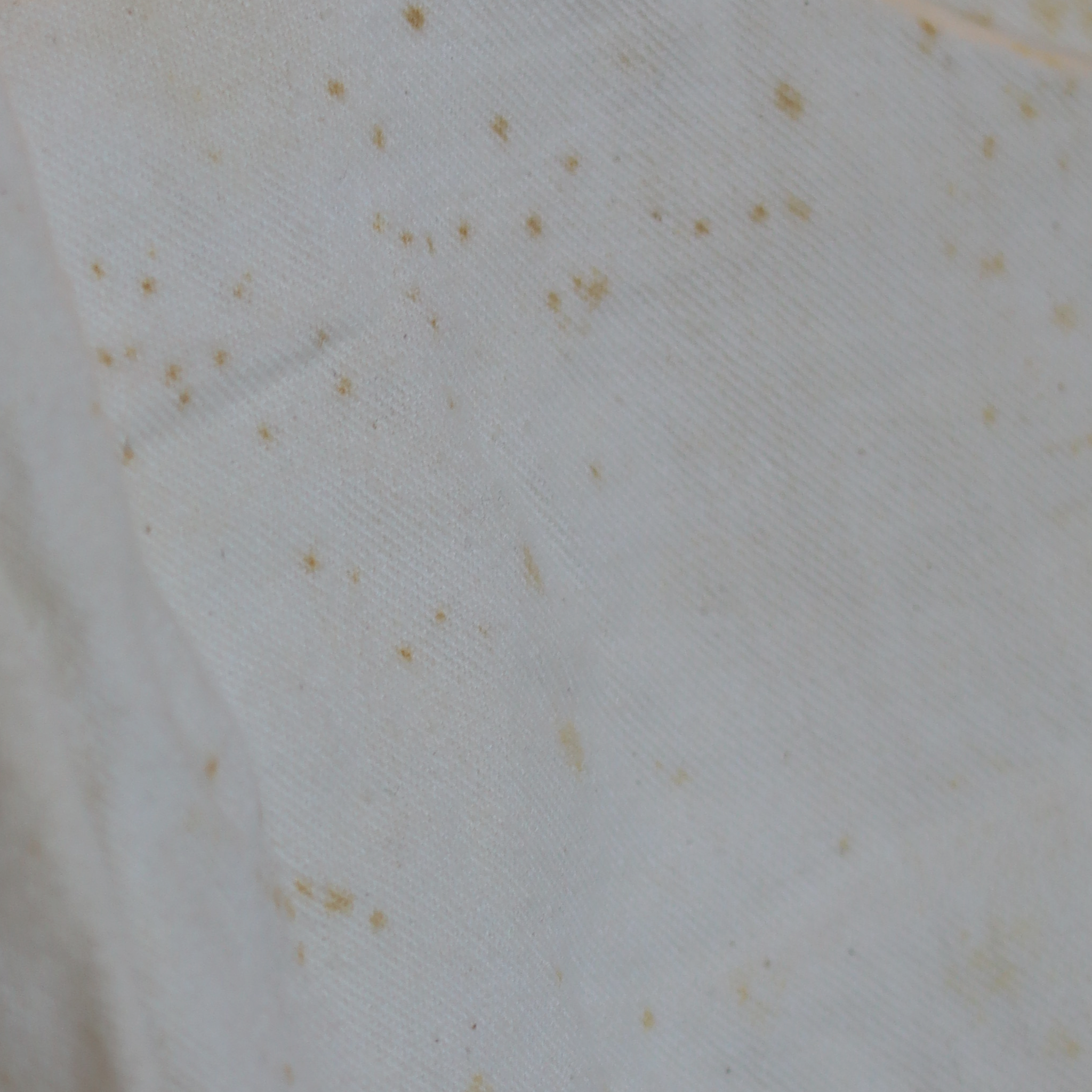 Vintage White Painter Pants