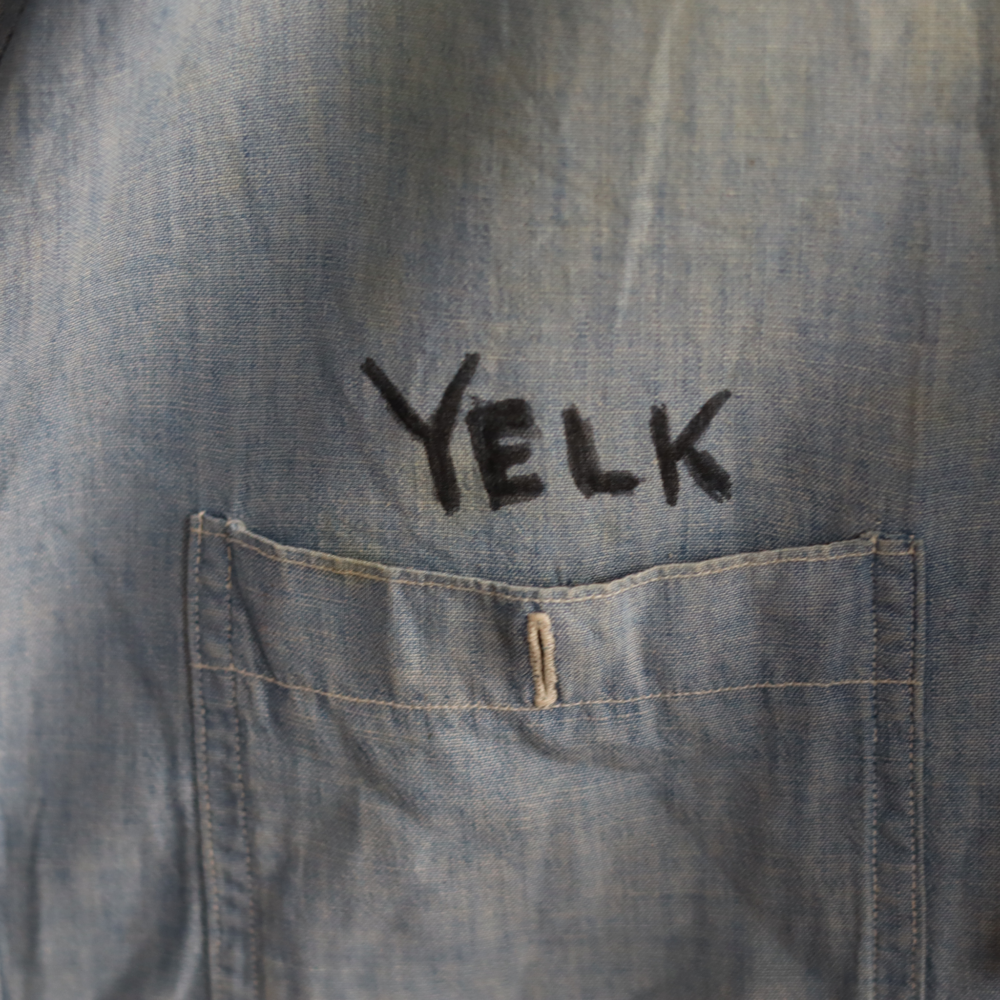 Pollywog Chambray