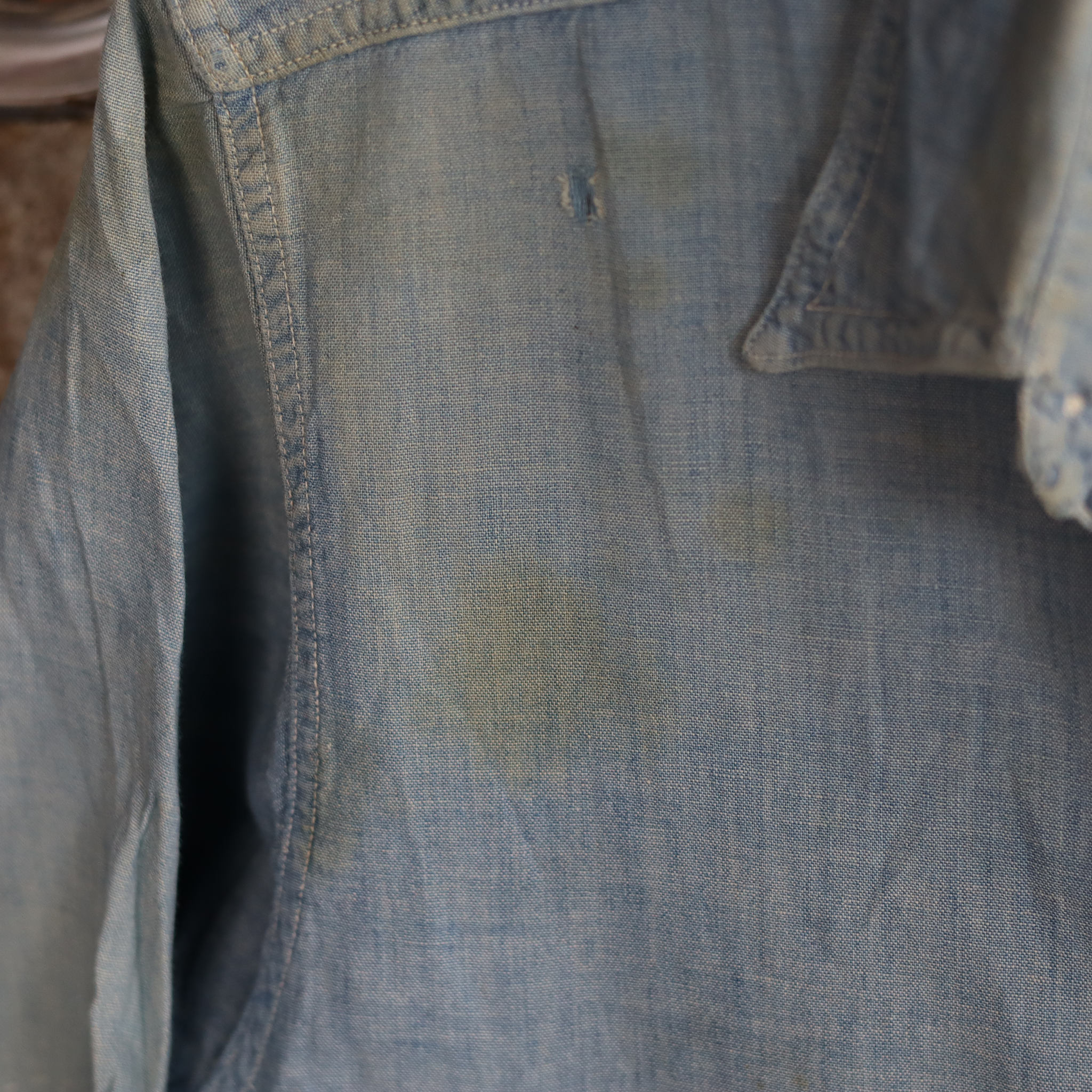 Pollywog Chambray