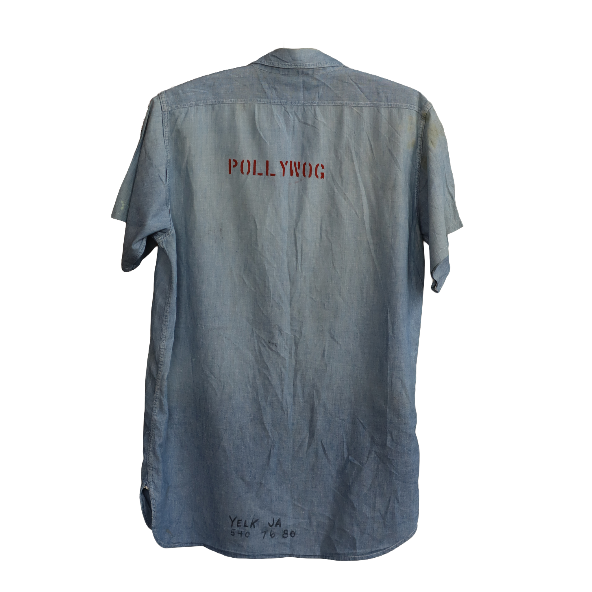 Pollywog Chambray
