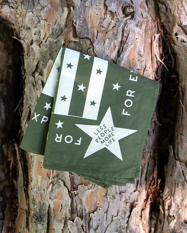 OLIVE GREEN TWO LANES BANDANA